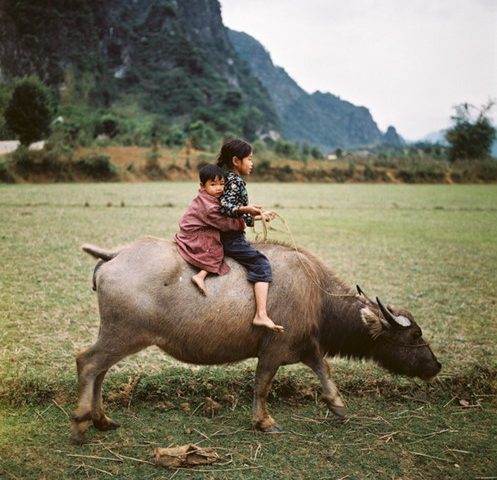 Chùm ảnh màu vô giá về miền Bắc trước 1975 (Phần 2)