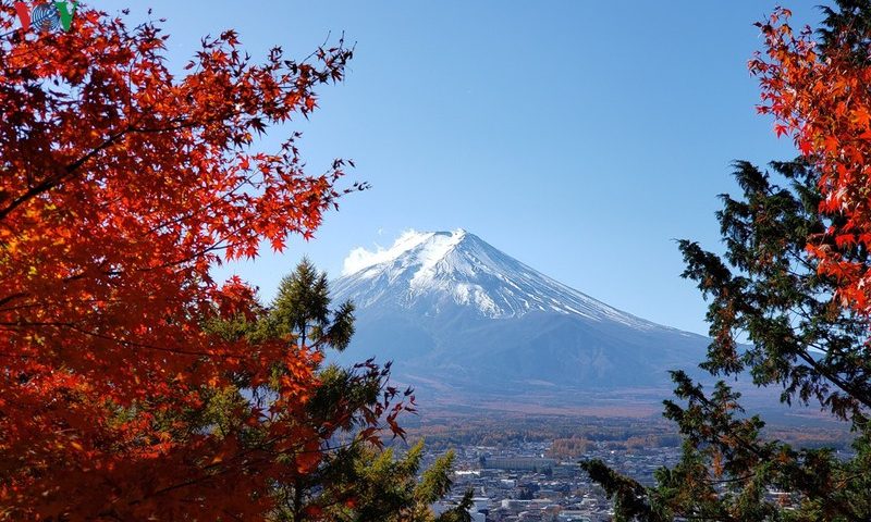 Êm dịu và quyến rũ bất tận của mùa thu Nhật Bản