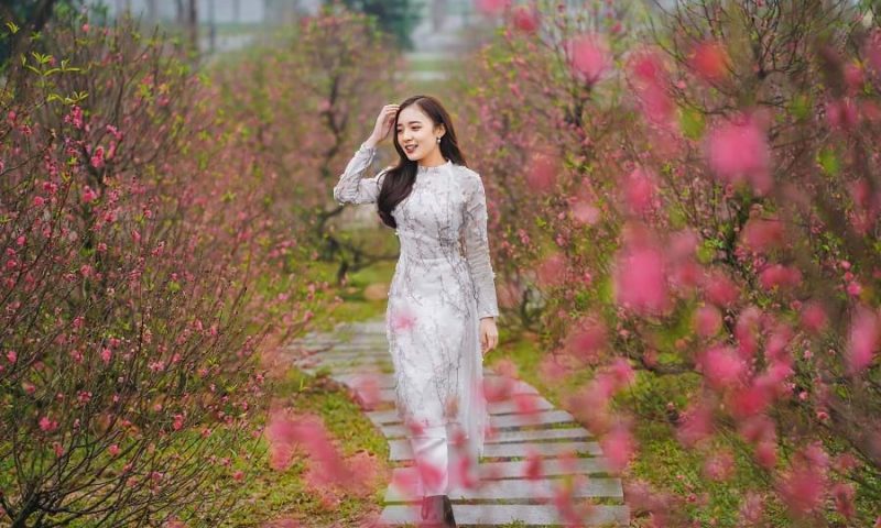 Trải nghiệm chưa từng có với Lễ hội hoa Xuân rực rỡ ở ba đại đô thị