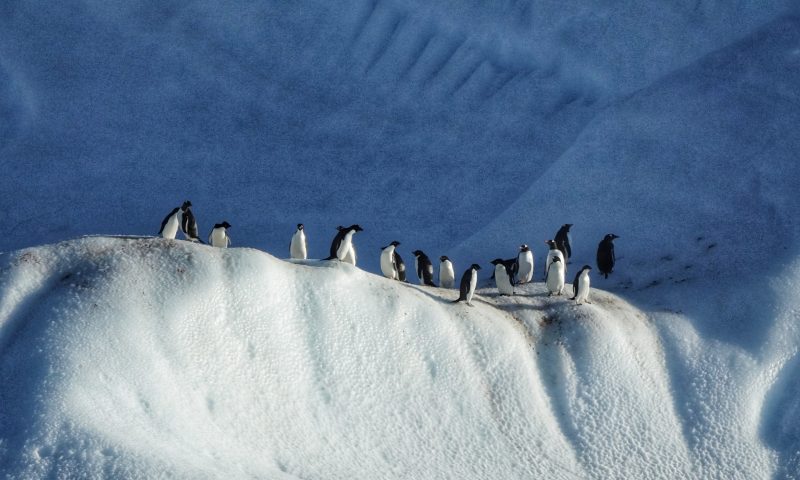 Nam Cực tuyệt đẹp dưới góc máy của phượt thủ xuyên lục địa