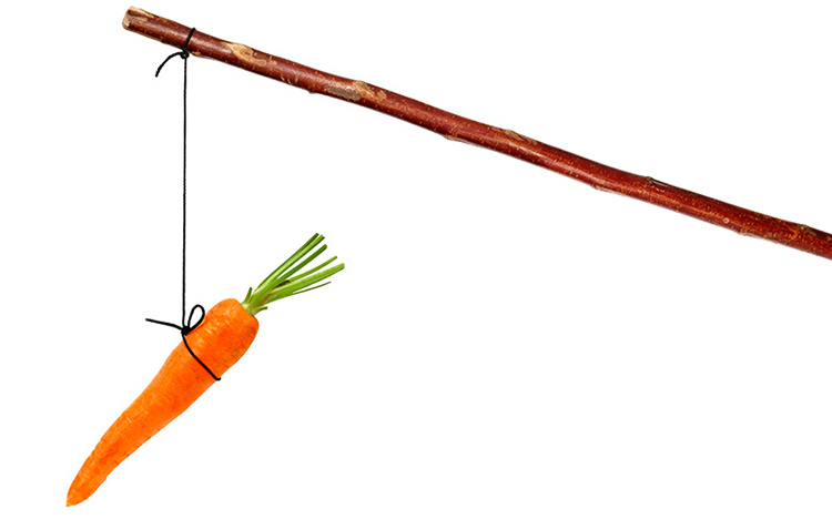 “Cây gậy và củ cà rốt” trong quản trị doanh nghiệp